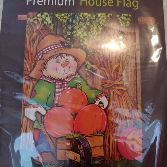 House flag - Picture 2 of 3